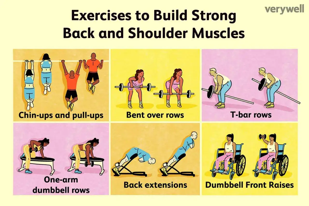Esercizi per rafforzare i muscoli delle spalle e schiena: chin-up, rematore con bilanciere e manubri, estensioni.