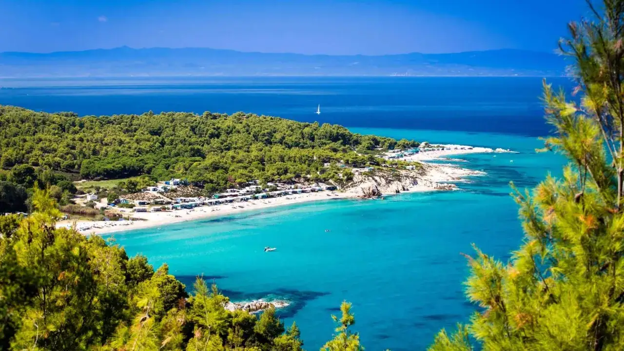 En vy &ouml;ver en turkos strand med gr&ouml;na tr&auml;d och berg i bakgrunden, en idyllisk plats p&aring; Halkidiki, Grekland.