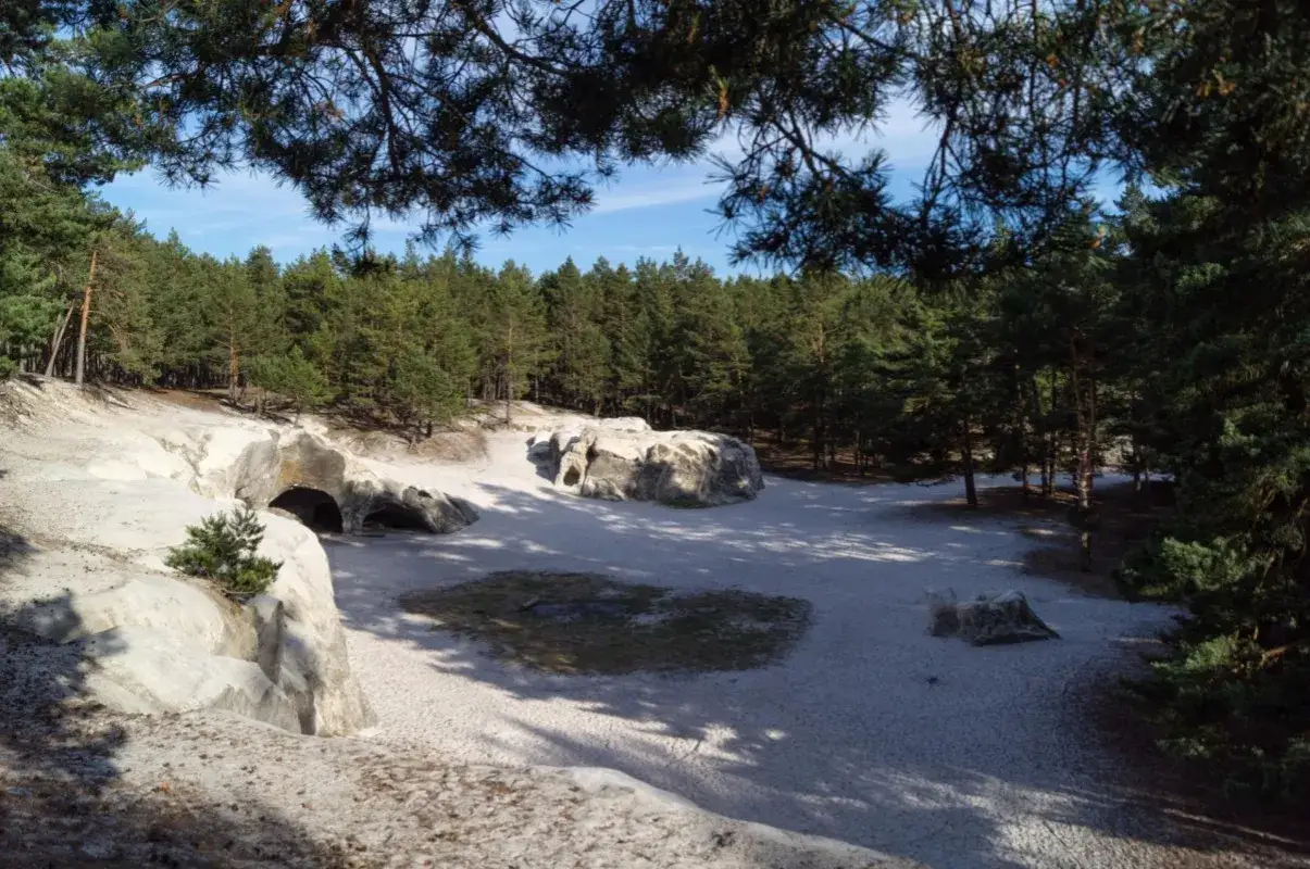 Felsformationen und H&ouml;hlen im Sand, umgeben von Kiefernwald. Ein echter Blankenburg Geheimtipp f&uuml;r Naturliebhaber.