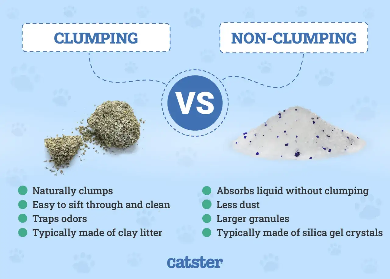Comparaci&oacute;n de tipos de arena para gatos: aglomerante (arcilla) vs. no aglomerante (cristales de gel de s&iacute;lice).
