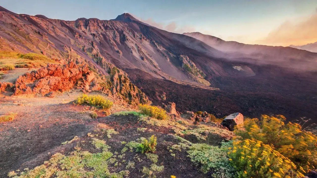 Paesaggio lunare sull'Etna, Sicilia. Rocce vulcaniche scure e pendii ripidi contrastano con la vegetazione verde e fiori gialli al tramonto.