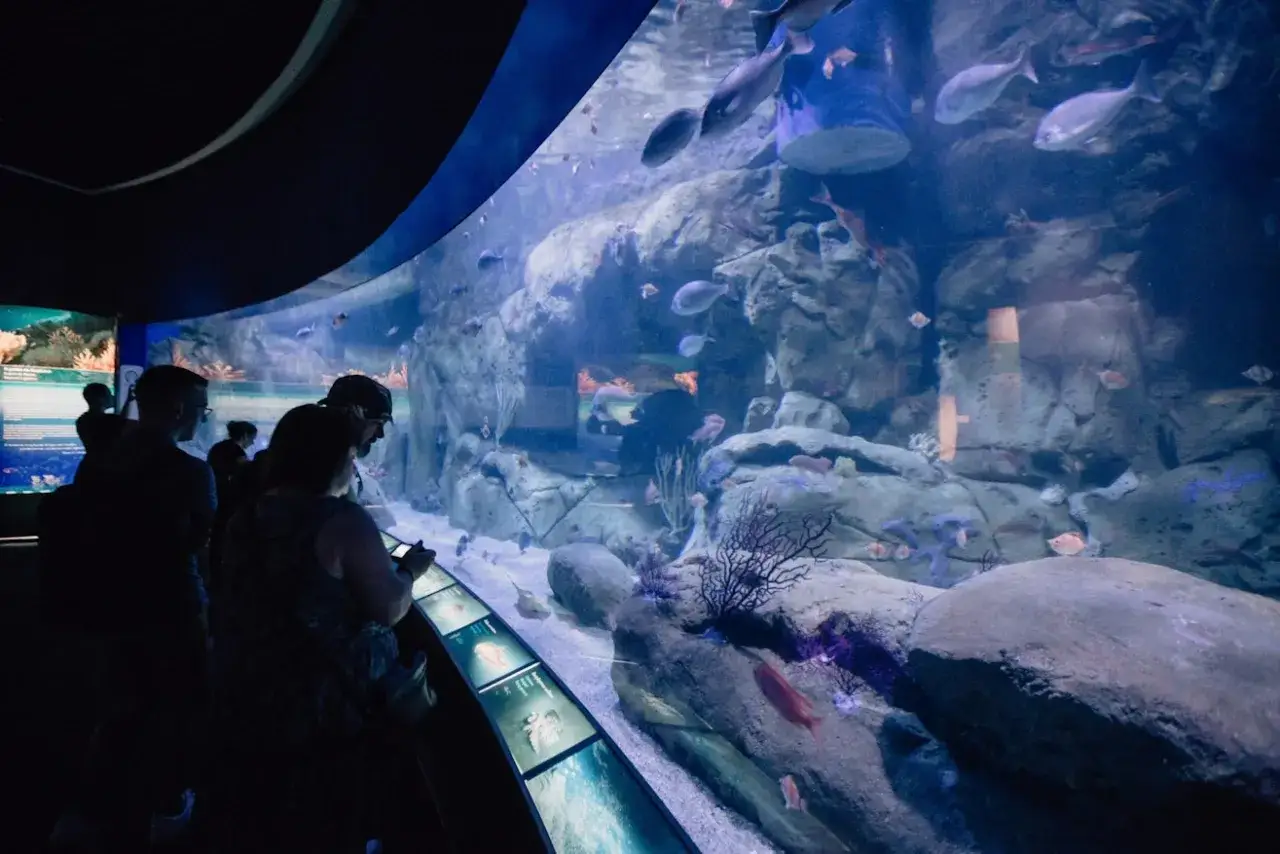 Oceanário de Lisboa główny zbiornik