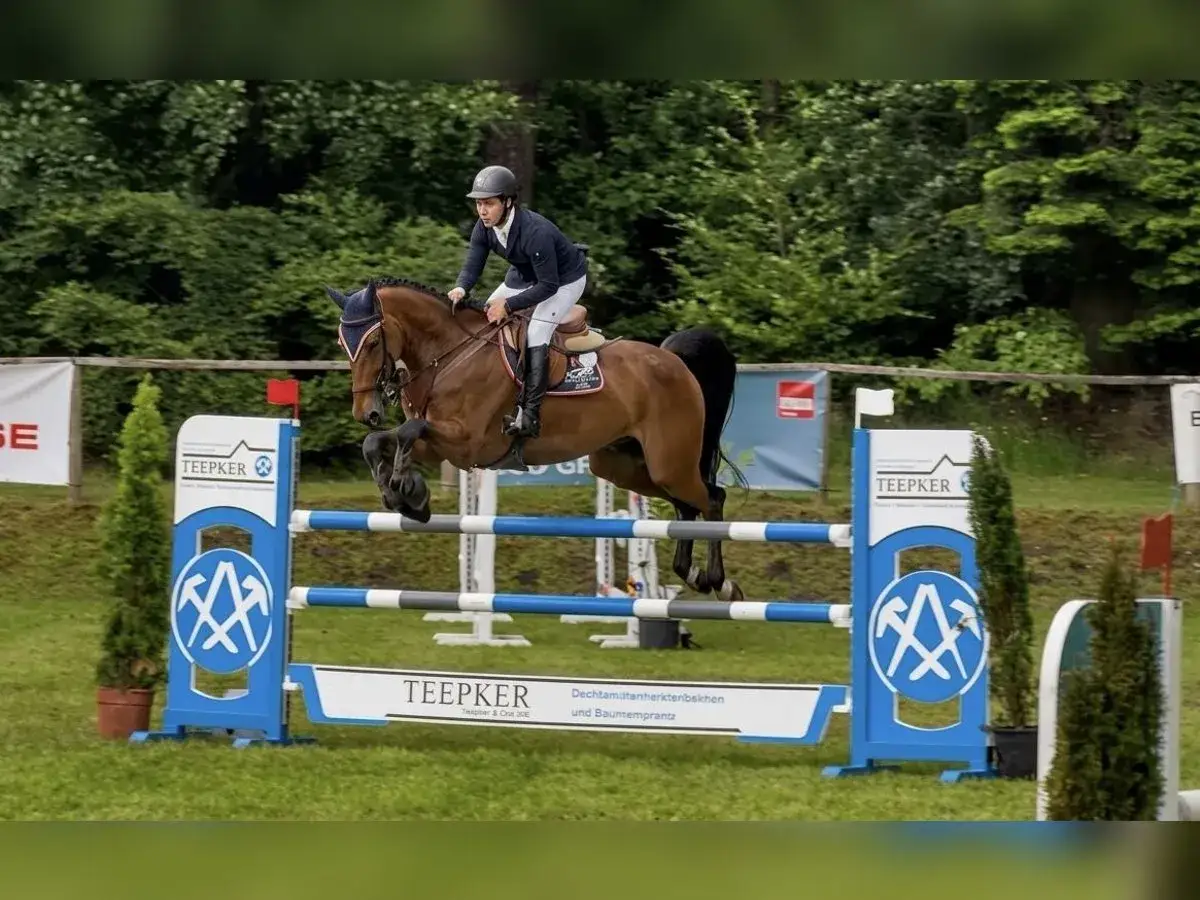 Un cavalier allemand CSO saute un obstacle bleu et blanc. Le cheval est brun, le cavalier porte une veste bleue et un casque.