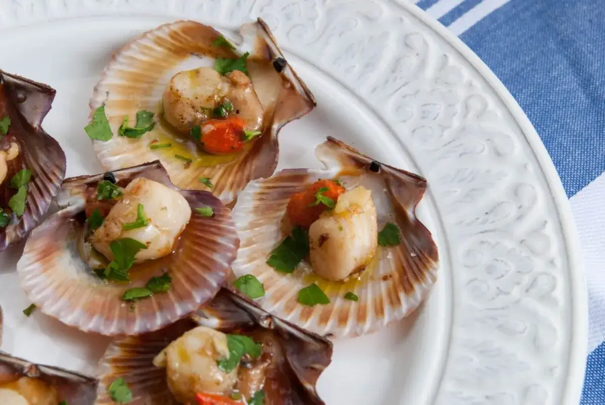 Zamburi&ntilde;as a la plancha, doradas y jugosas, servidas en su concha con perejil fresco. Un manjar marino listo para disfrutar.