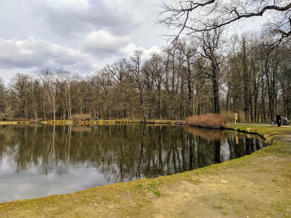 Spokojne stawy w Leśnicy odbijają nagie drzewa i pochmurne niebo. W oddali widać spacerujących ludzi.
