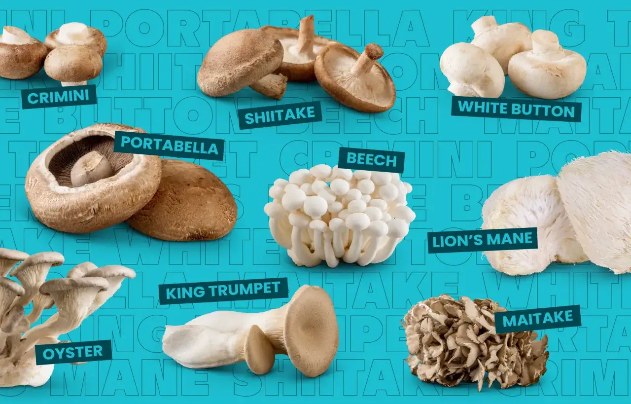 Vielfalt an Pilzen: Crimini, Shiitake, Portobello, White Button, Beech, Lion's Mane, Oyster, King Trumpet und Maitake. Diese asiatischen Pilze sind bereit f&uuml;r die K&uuml;che.