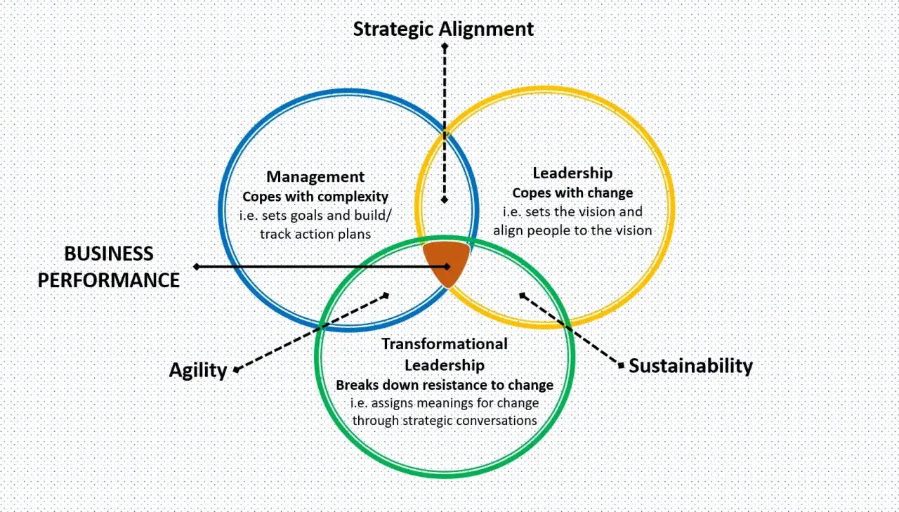 Diagramme montrant que la gestion, l'administration, le leadership et le leadership transformationnel sont essentiels &agrave; la performance.