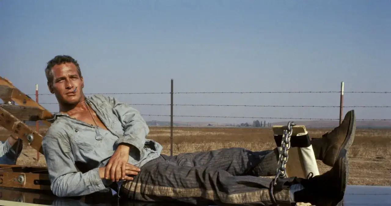 Paul Newman, ikonisk i filmer med Paul Newman, ligger kedjad utomhus.