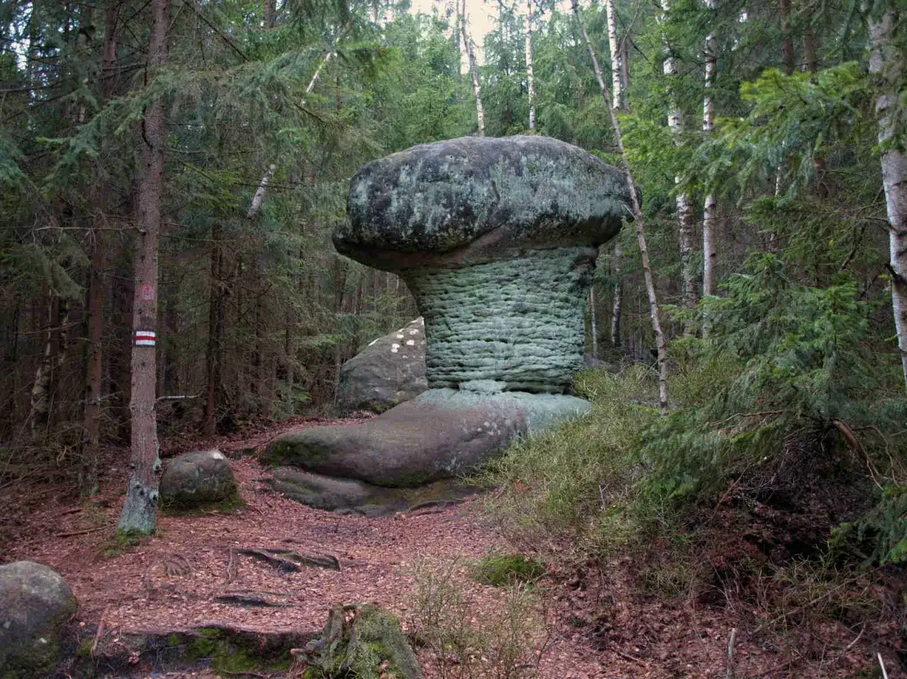 Skalne Grzyby Radkowskie Skały