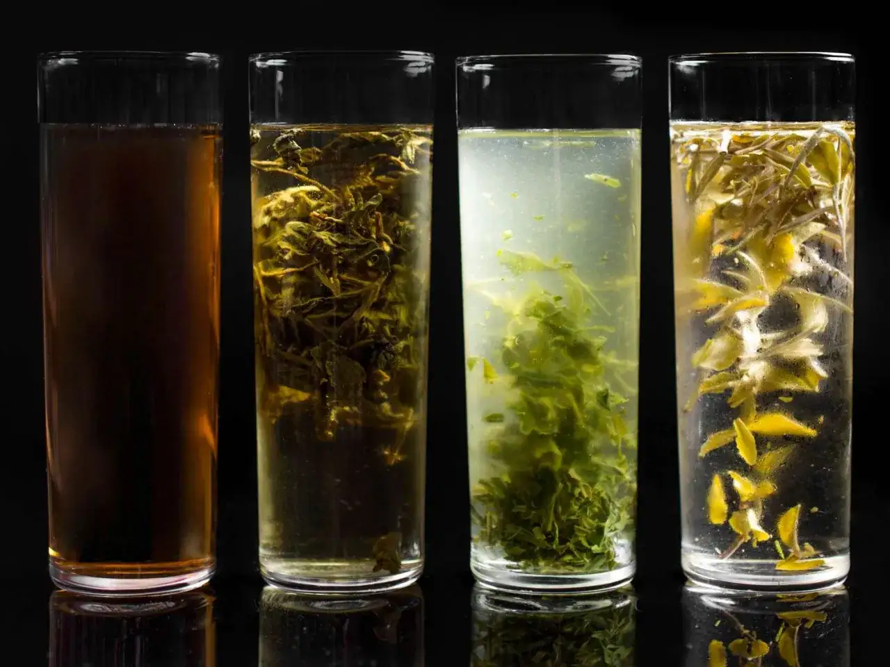 Cztery szklanki z naparami: ciemny napar, zielone liście w herbacie, jasnozielony napar z liśćmi, herbata cold brew z ż&oacute;łtymi liśćmi.