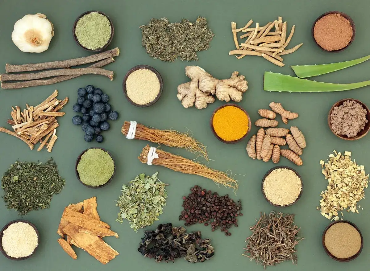 Variedad de adaptógenos naturales: raíz de ginseng, cúrcuma, jengibre, arándanos, regaliz, aloe vera y hierbas en polvo y secas.