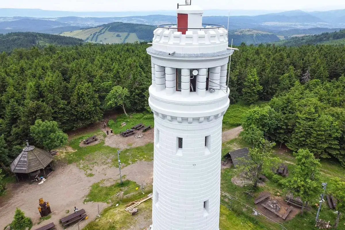 Wielka sowa obserwuje z wieży widokowej otoczonej lasem. W dole widać polanę z ławkami i wiatą.