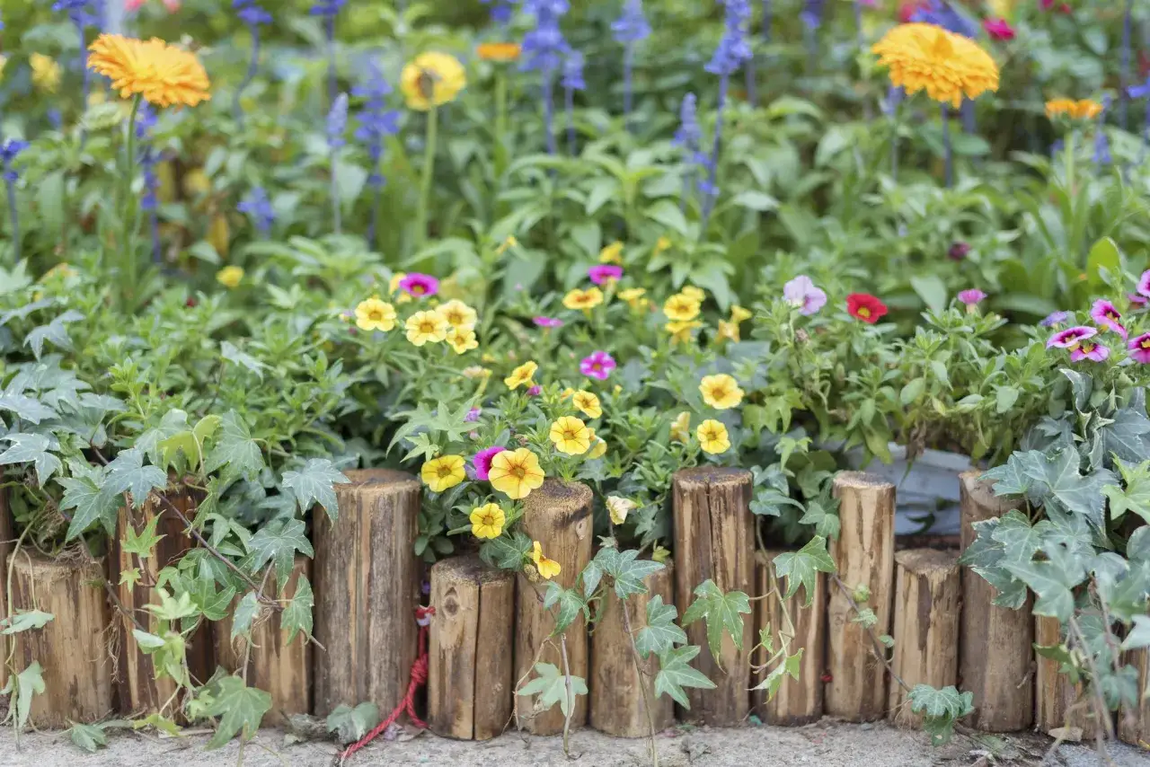 Natürliche beeteinfassung ideen mit Holzstämmen und bunten Blumen wie gelben und pinken Petunien sowie blauen Salbei.