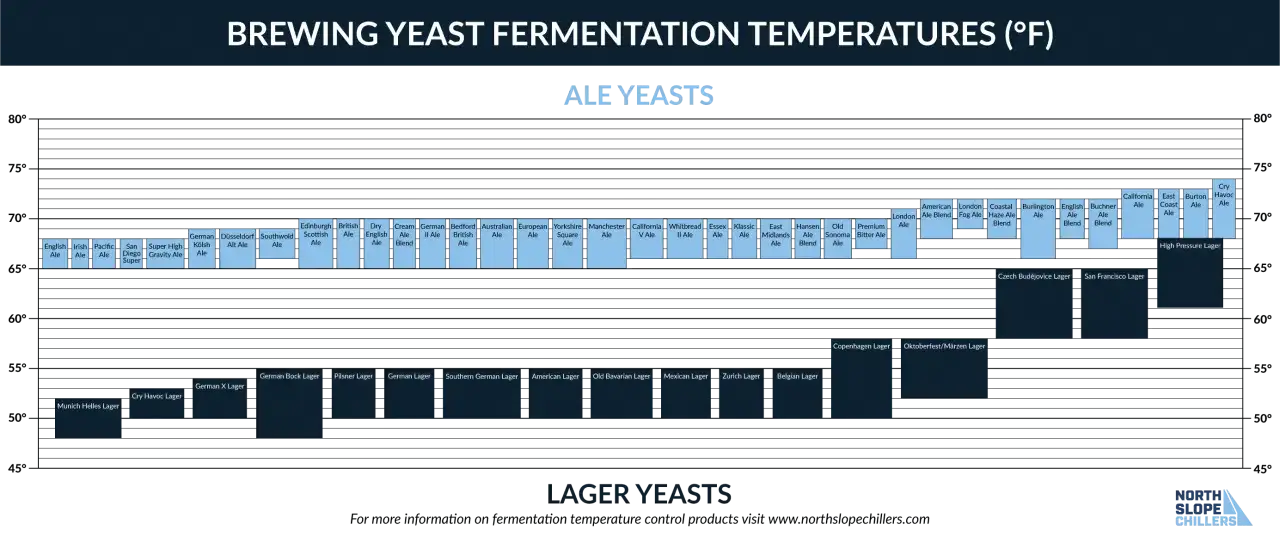 Graphique montrant la plage de temp&eacute;rature levure id&eacute;ale pour diff&eacute;rentes souches d'ale et de lager.