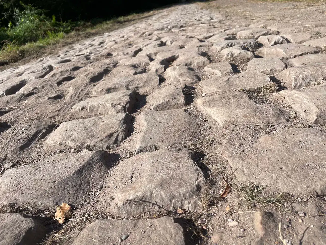 Kamienie bruku, jak na trasie Paryż-Roubaix, tworzą wyboistą ścieżkę.