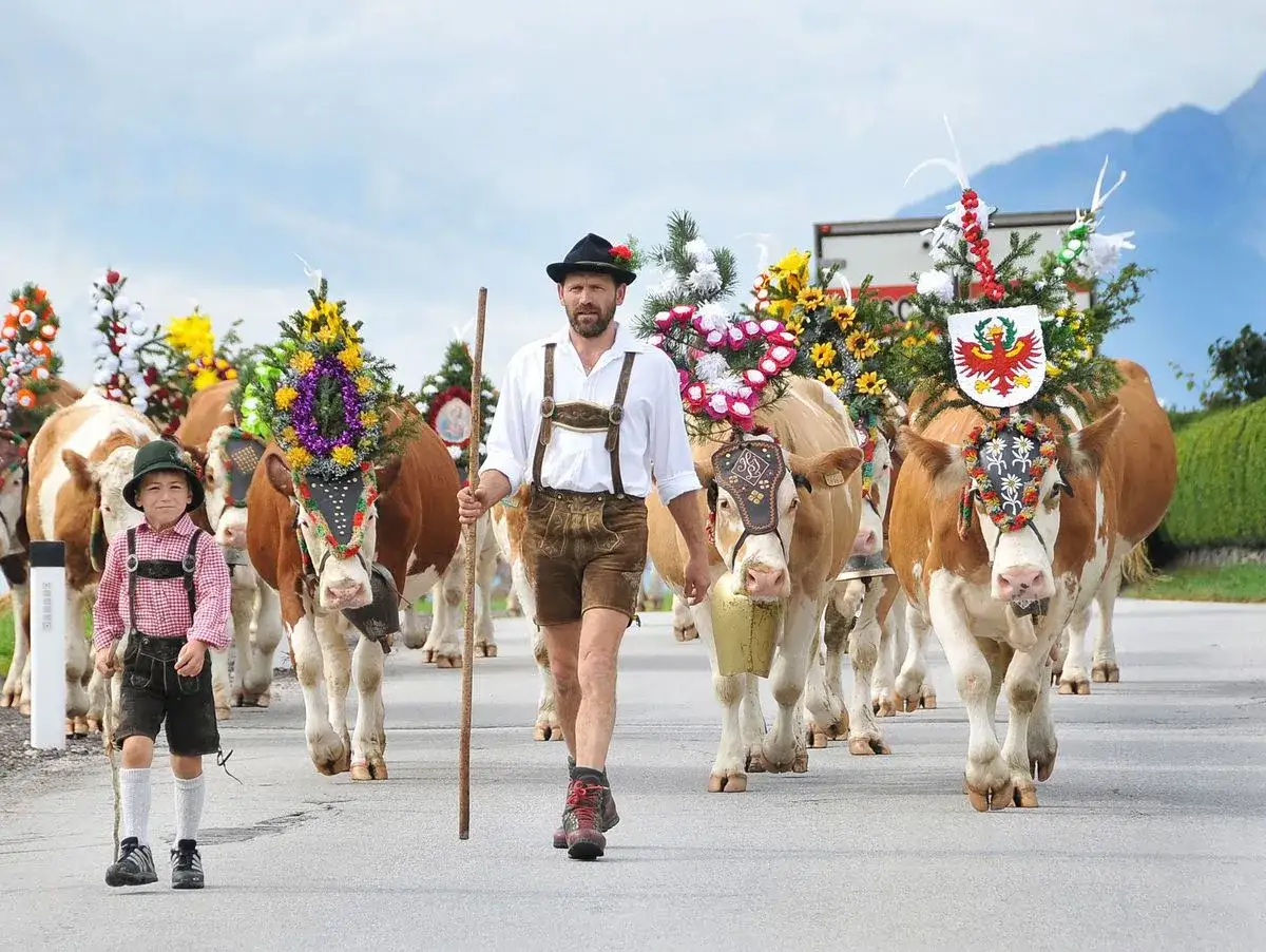 Festlicher Almabtrieb: K&uuml;he mit Blumenschmuck und ein Junge in Tracht ziehen &uuml;ber die Stra&szlig;e.