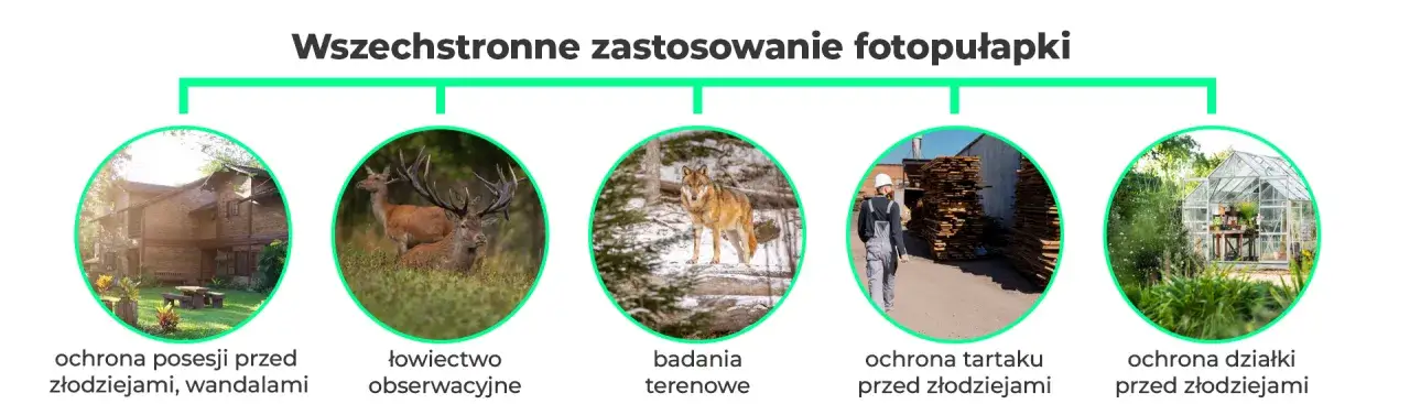 różne zastosowania fotopułapki infografika