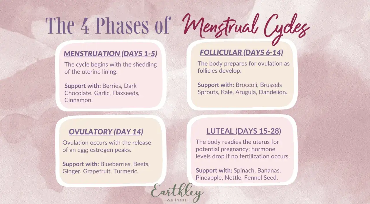 Le 4 fasi del ciclo mestruale: mestruazione, follicolare, ovulatoria e luteale. Guida al cycle syncing con cibi di supporto.
