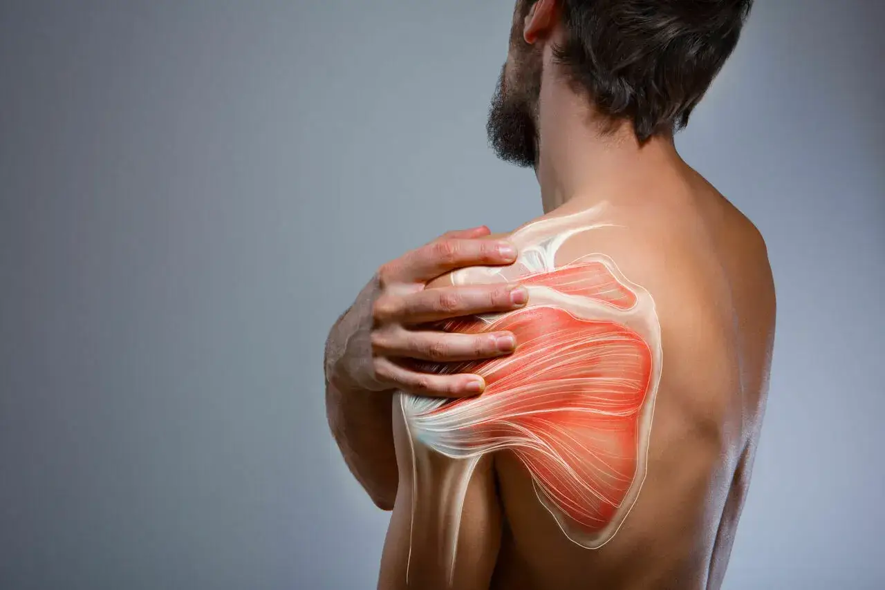 Homme tenant son épaule gauche, montrant une visualisation des muscles et des tendons, suggérant une douleur au bras gauche.
