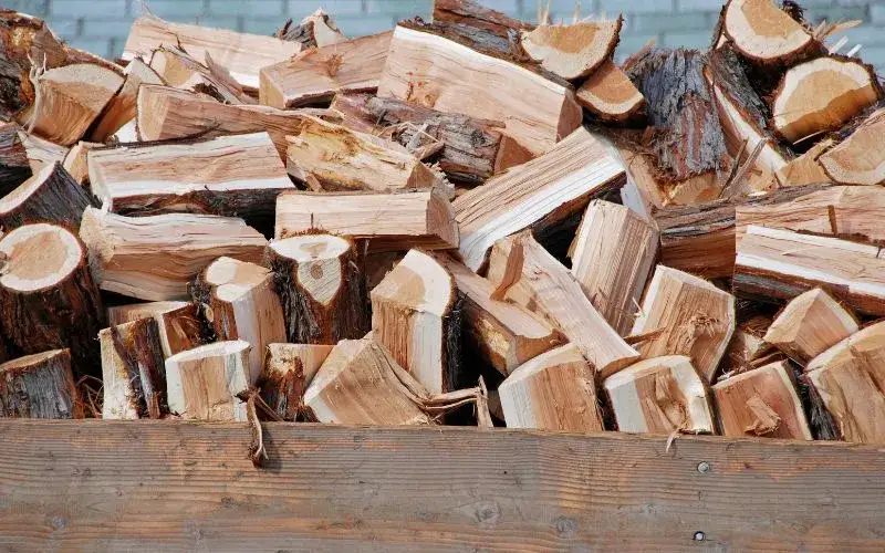 różne gatunki drewna opałowego i tartacznego