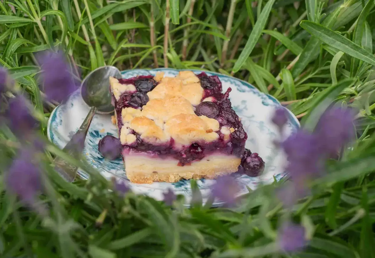 Ein St&uuml;ck Heidelbeerkuchen mit Vanillepudding, umgeben von Lavendel.
