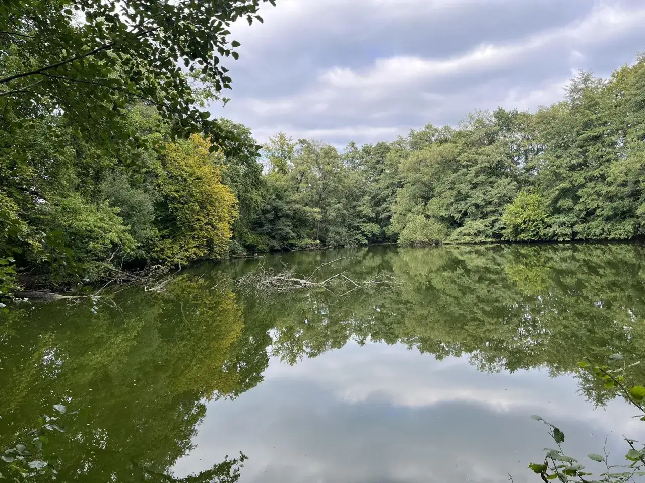 Grüner See mit Baumspiegelung, ein ruhiger Ort nahe Bielefeld.