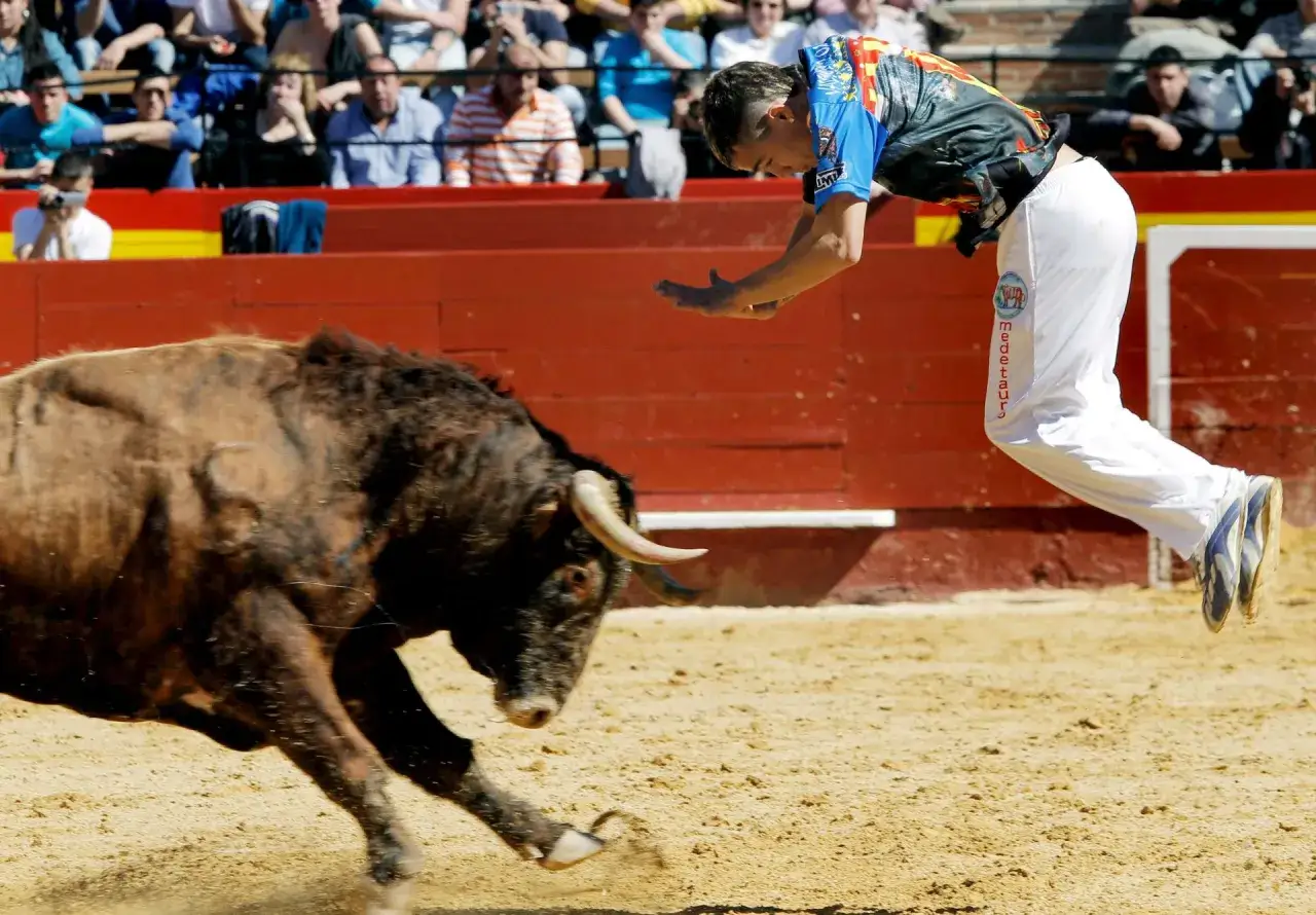 Un recortador salta sobre un toro bravo en la arena. Los nombres de recortadores de toros son leyendas de valent&iacute;a.