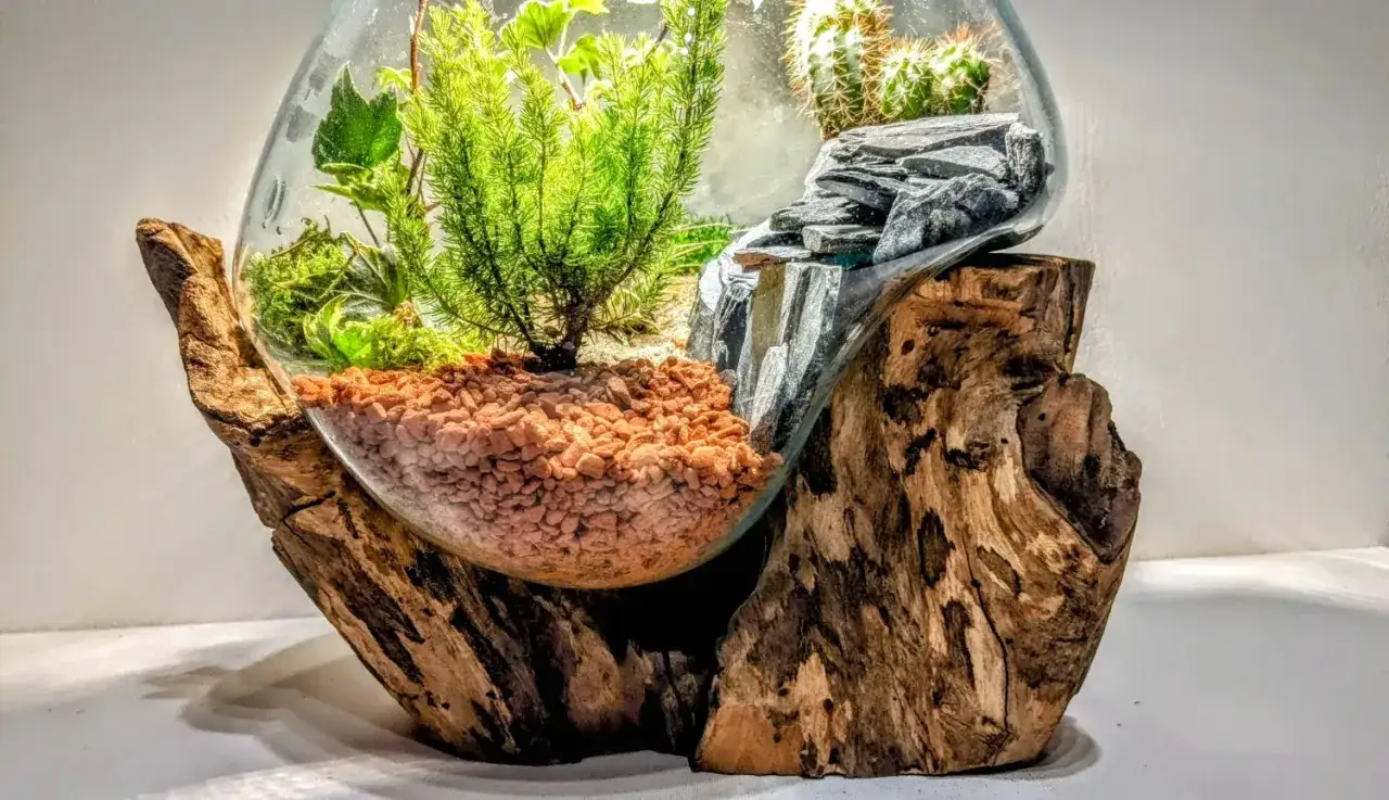 Ein faszinierender Flaschengarten, den man leicht selber machen kann: Pflanzen in einem Glasgef&auml;&szlig; auf einem Holzstamm, mit Kies und Steinen.