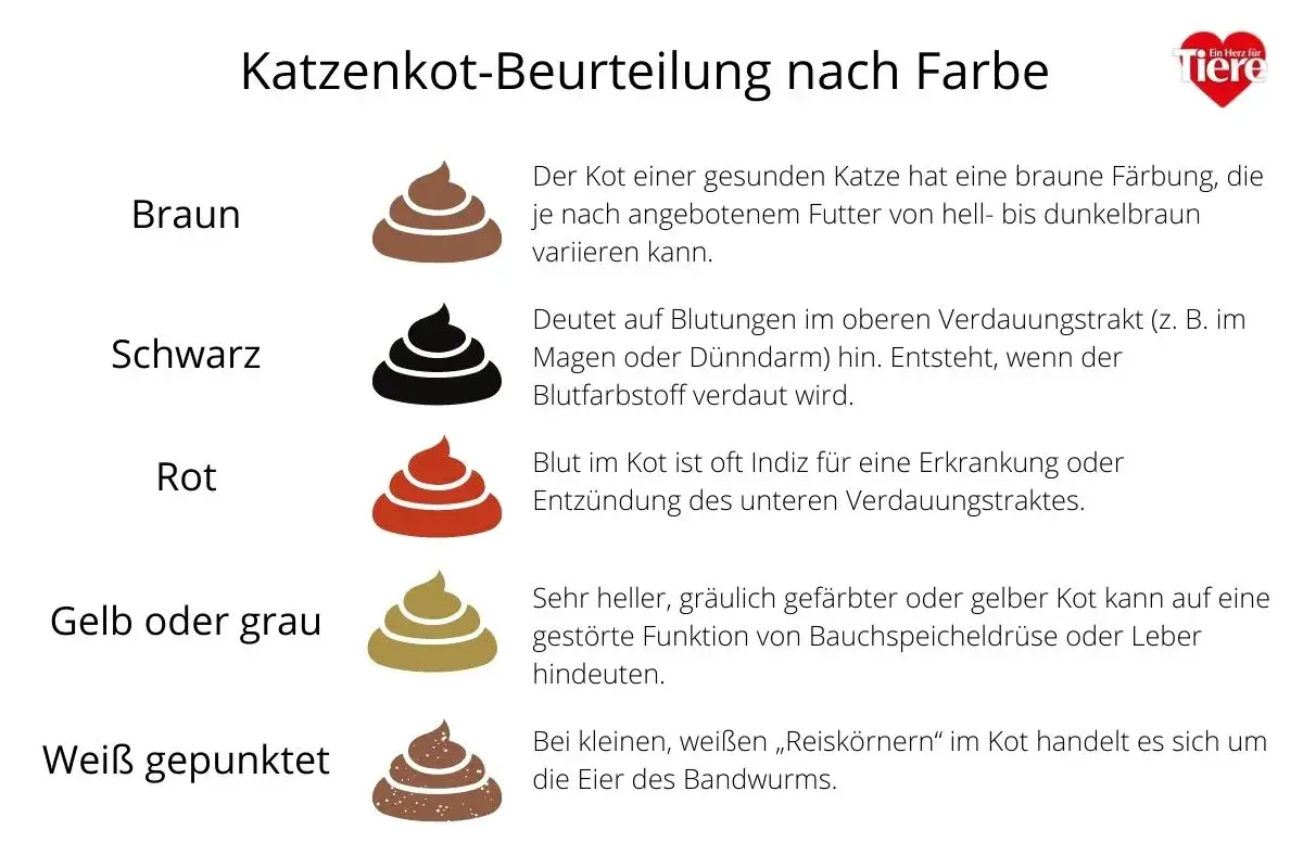 Illustrationen zeigen verschiedene Farben von Katzenkot: braun (gesund), schwarz (Blutungen im oberen Verdauungstrakt), rot (Blut im Kot), gelb/grau (Leber-/Bauchspeicheldr&uuml;senprobleme) und wei&szlig; gepunktet (Bandwurmeier).
