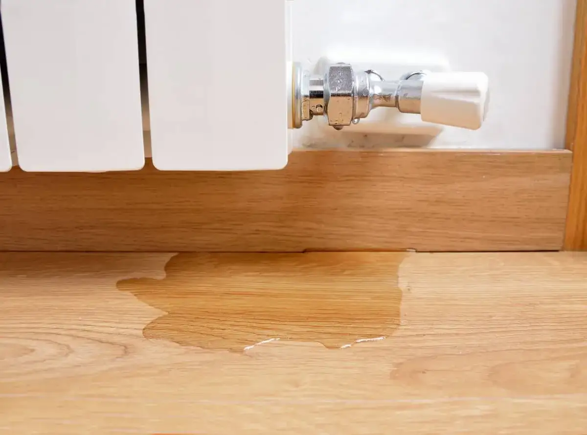 La caldera pierde presión y no hay fugas visibles, pero hay agua en el suelo de madera.