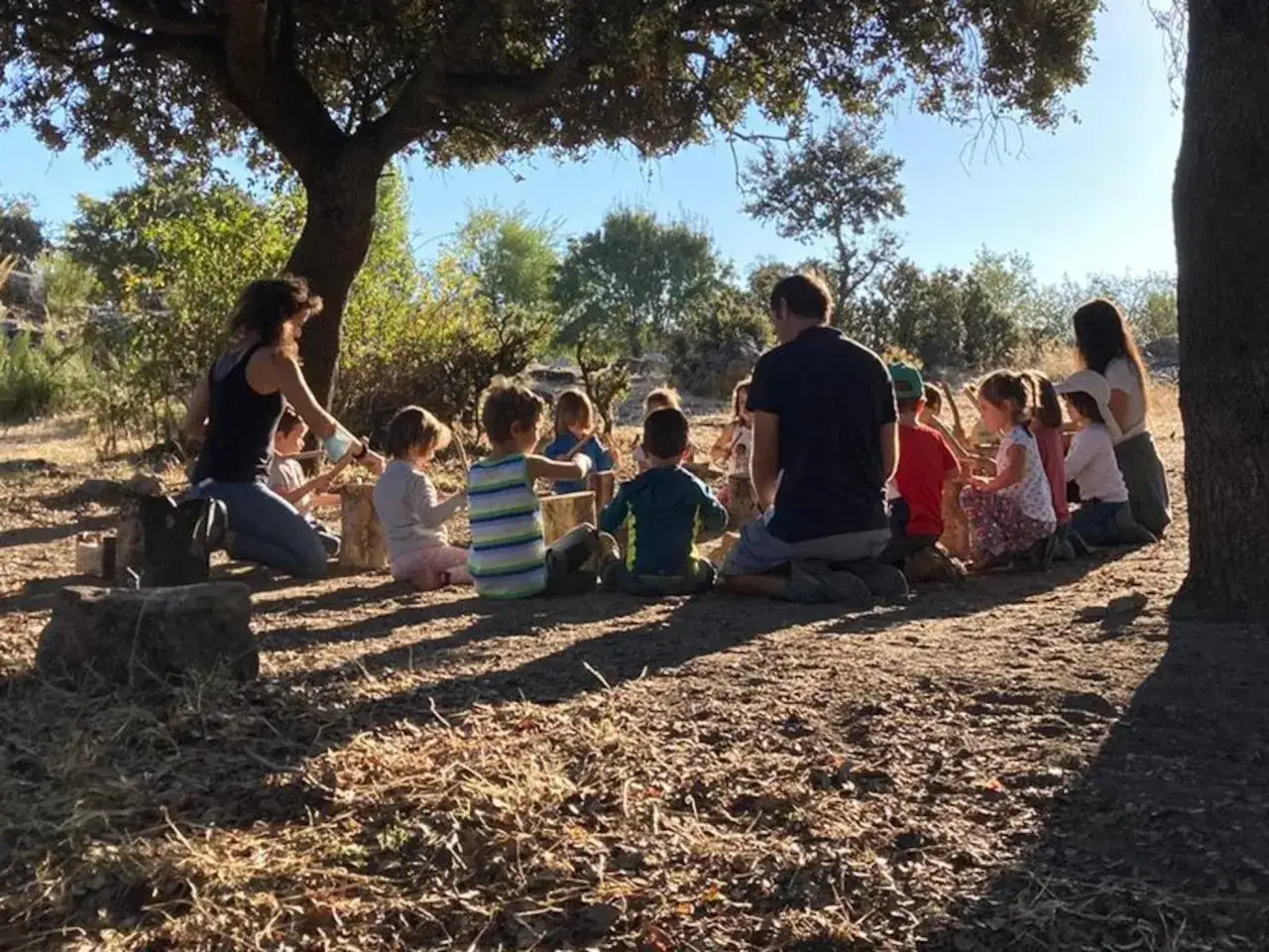 Niños y adultos sentados bajo un árbol, participando en juegos de conocimiento del medio.