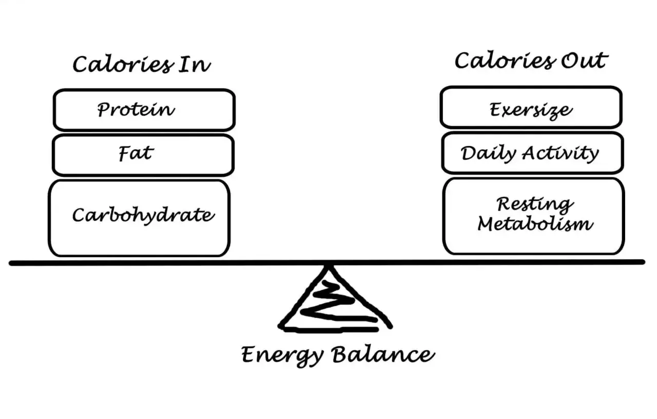 Bilancia energetica: calorie in (proteine, grassi, carboidrati) vs calorie in uscita (esercizio, attività quotidiana, metabolismo a riposo). Capire quante calorie bisogna bruciare al giorno è fondamentale.