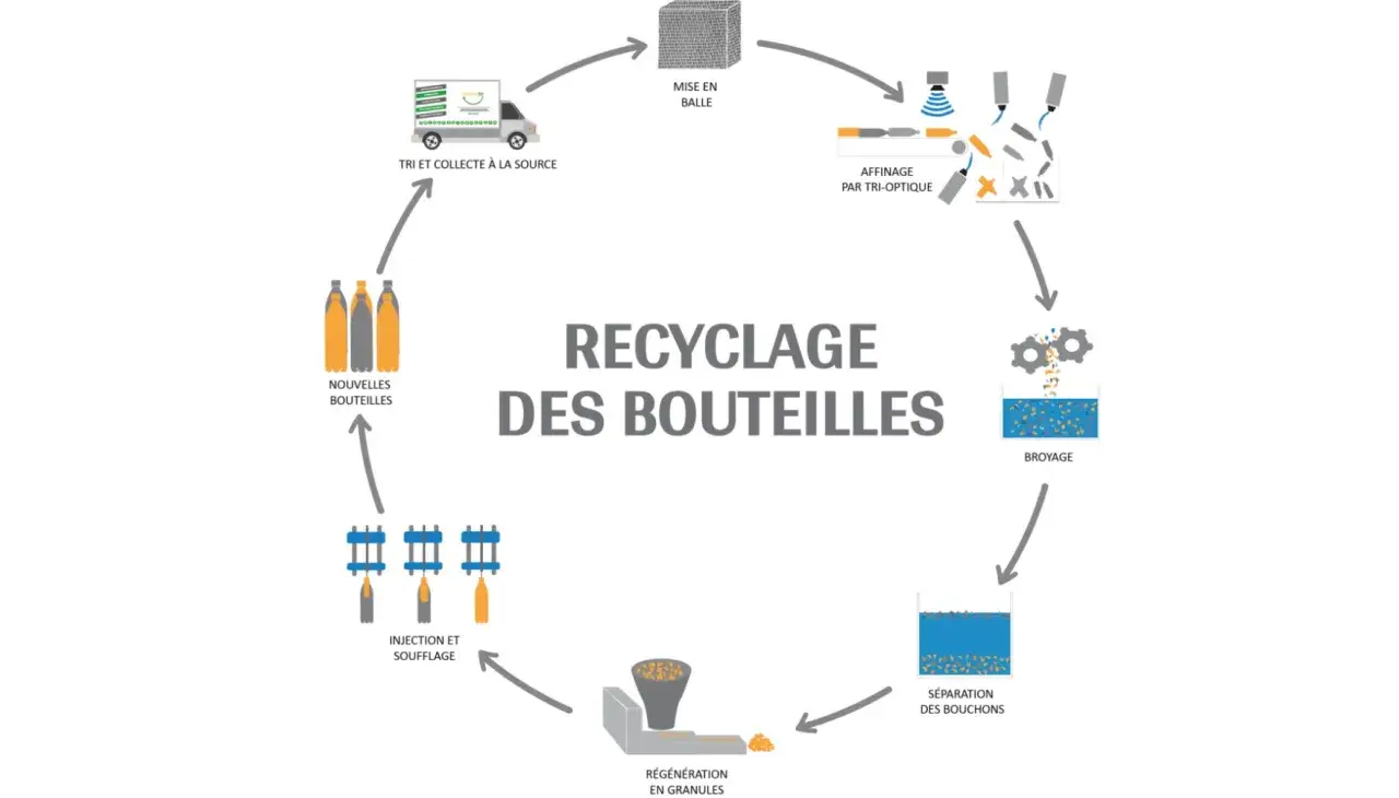 Schéma du recyclage d'une **plastique bouteille d'eau** : collecte, tri, broyage, régénération en granulés, puis fabrication de nouvelles bouteilles.