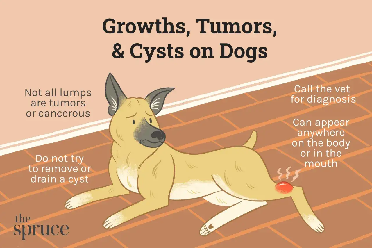Illustration of a sad dog with a red, inflamed growth on its leg, highlighting growths, tumors, and cysts on dogs.