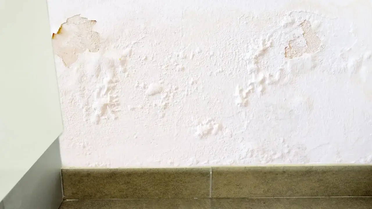 Pared blanca con ampollas y desconchones, evidencia de capilaridad del agua ascendiendo desde la base.