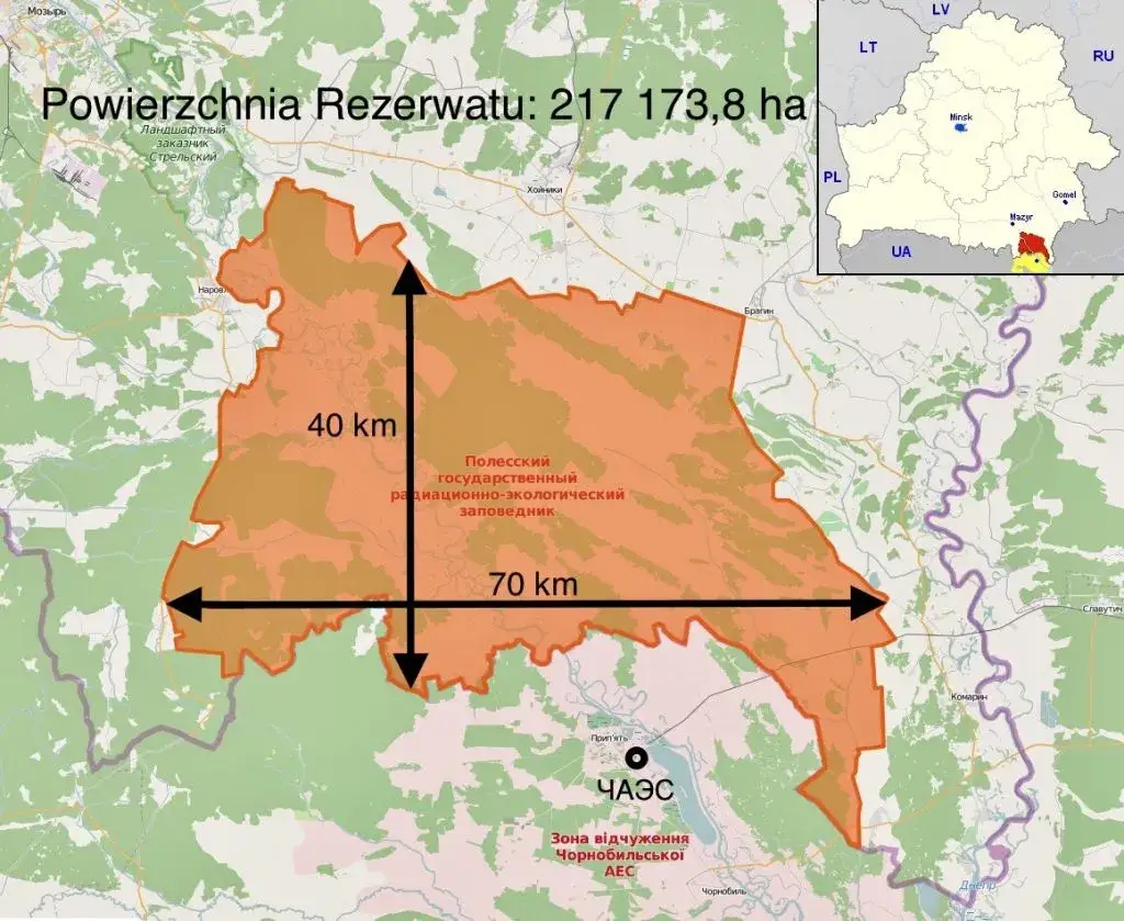 Dzika przyroda Strefy Wykluczenia Czarnobyl
