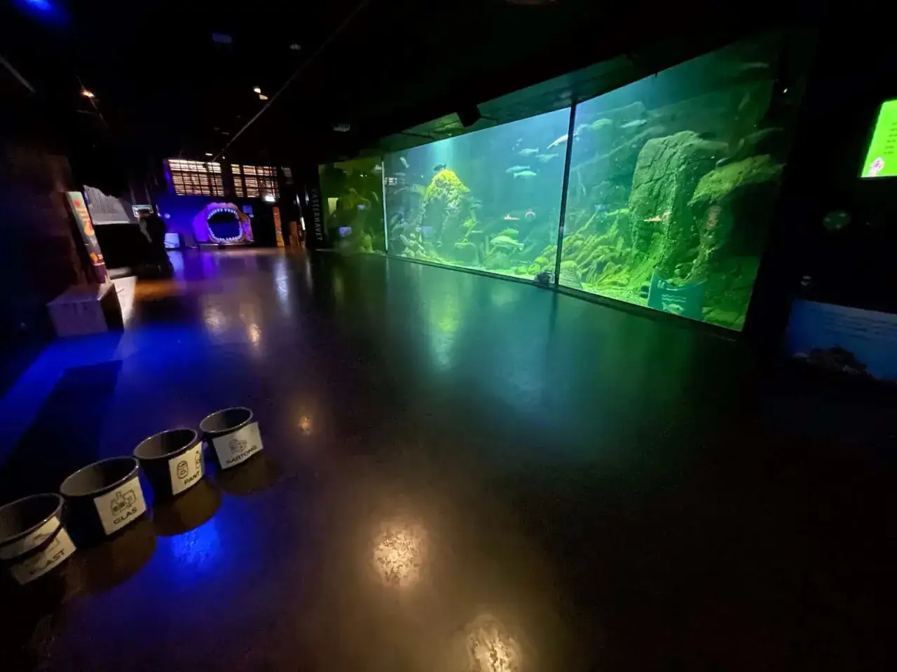 Ett stort akvarium med fiskar och gr&ouml;nska, en m&ouml;rk g&aring;ng med en stor mun som dekoration. En bit av universum i G&ouml;teborg.