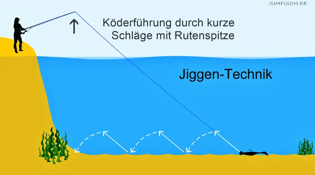 Angler demonstriert die Zander Jiggen-Technik: Köderführung durch kurze Schläge mit der Rutenspitze am Gewässergrund.