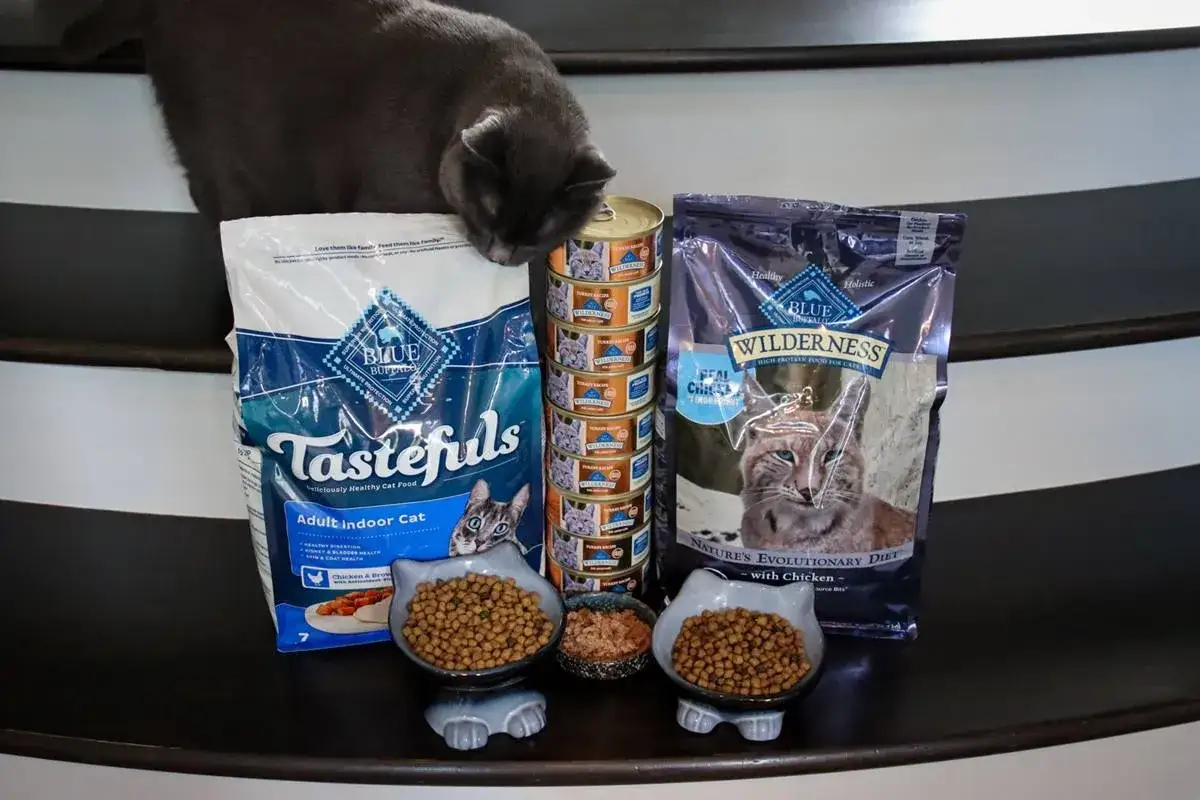 A curious cat investigates a selection of Blue Buffalo cat food, including Tastefuls and Wilderness. Is Blue Buffalo good for cats? This display suggests it's a popular choice.