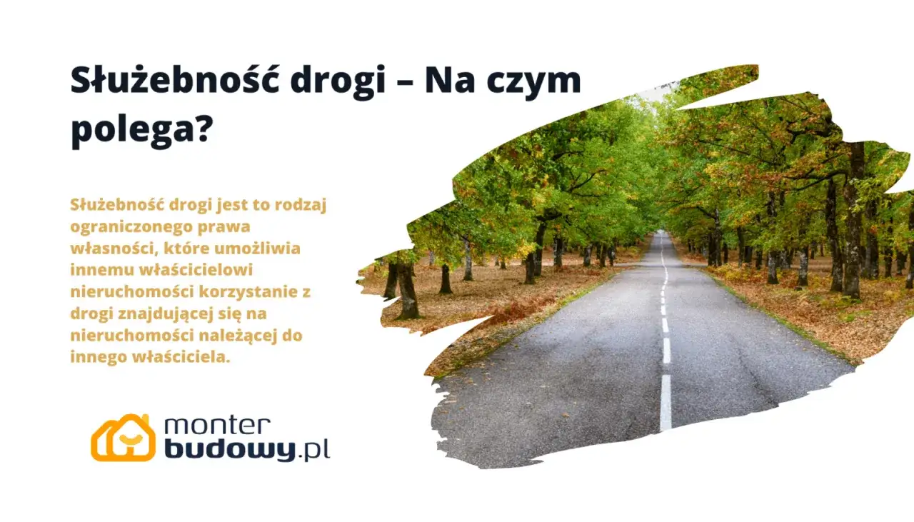 Służebność drogi to prawo pozwalające korzystać z cudzej drogi. Obraz przedstawia aleję drzew z drogą, symbolizującą dostęp.