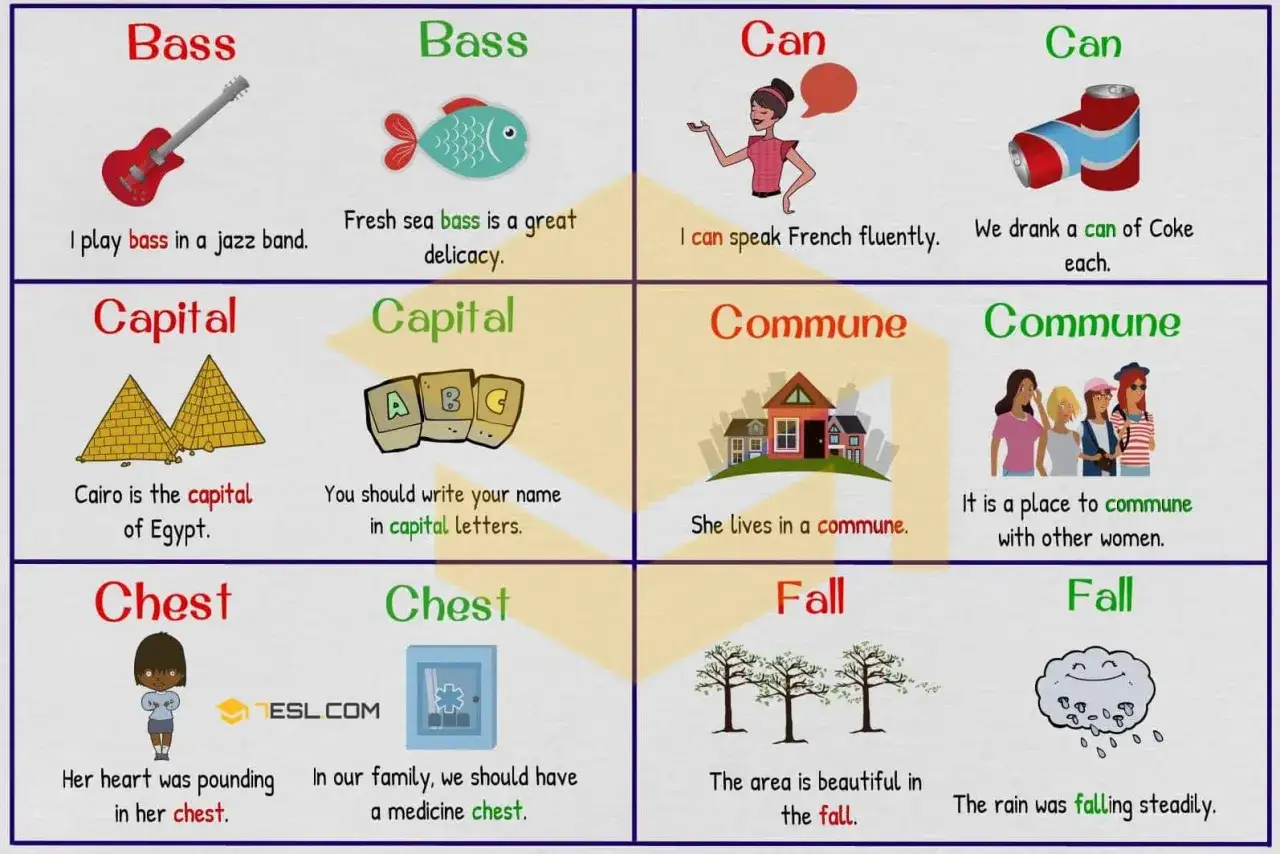 Ejemplos de palabras hom&oacute;grafas: bass (guitarra/pez), capital (ciudad/may&uacute;scula), can (poder/lata), commune (comunidad/comunicarse), chest (pecho/cofre), fall (caer/oto&ntilde;o).