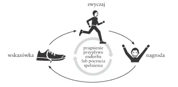 infografika lub prosty schemat pętli nawyku: bodziec, pragnienie, reakcja, nagroda