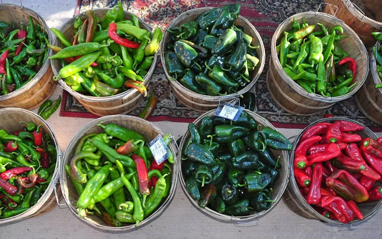 Cesti di peperoncini freschi, verdi e rossi, pronti per essere coltivati o gustati. Variet&agrave; diverse, un tripudio di colori e sapori.