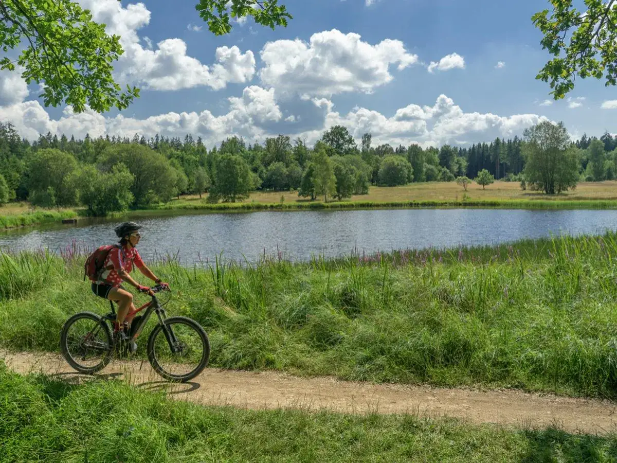 Kobieta na rowerze górskim przemierza malowniczą ścieżkę nad jeziorem. W tle las i błękitne niebo z chmurami. Idealny dzień na **velo raba**.