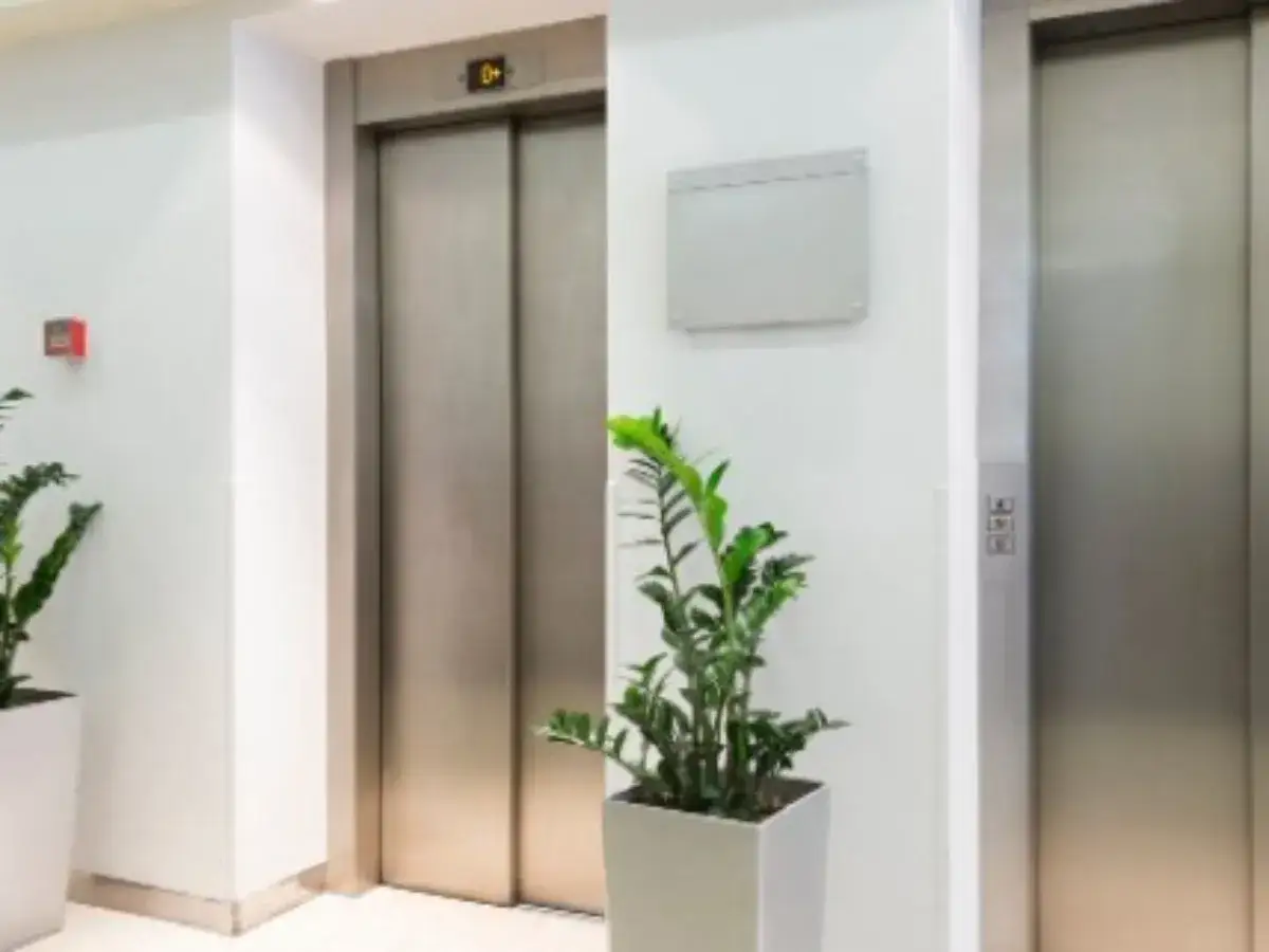 Dos ascensores metálicos, uno con el número 0 en la pantalla, y plantas en macetas blancas. Los ascensores tienen cámaras de seguridad.