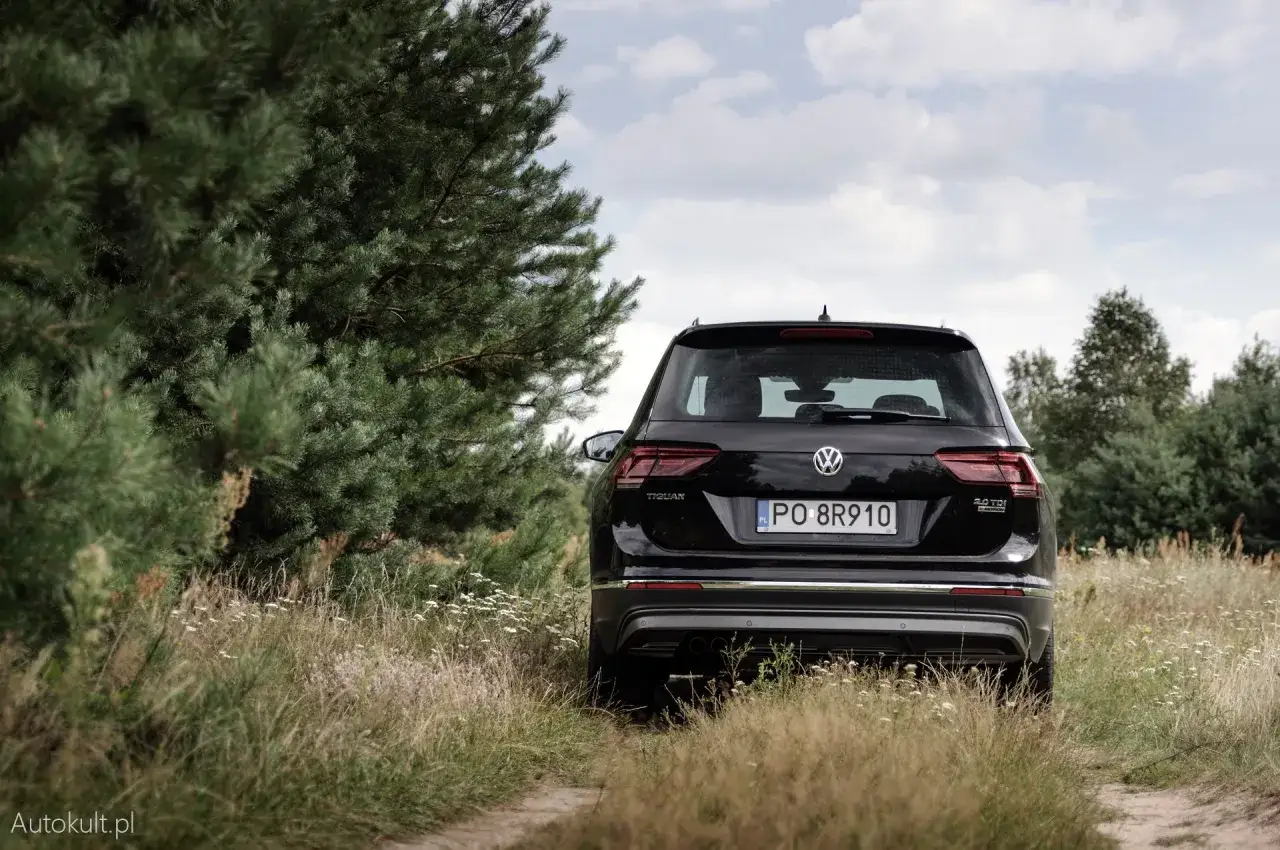 Czarny Volkswagen Tiguan 2.0 TDI na tle sosnowego lasu i polnych kwiatów.