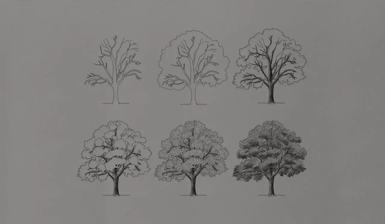 Un dessin arbre &eacute;volue, de l'esquisse des branches nues &agrave; une ramure dense et ombrag&eacute;e, montrant diff&eacute;rentes &eacute;tapes de croissance.