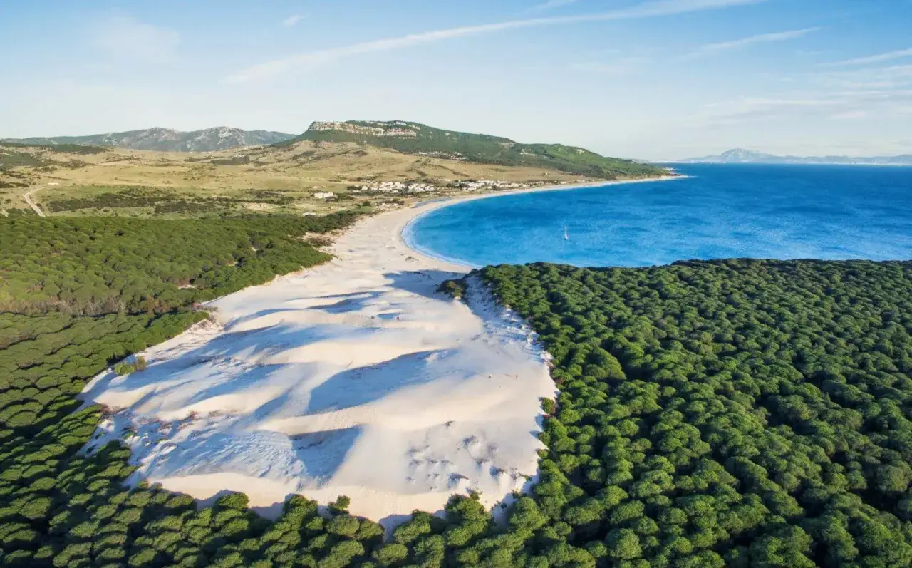 Dunas de arena blanca bordean un bosque de pinos verdes y el mar azul. Un lugar idílico que ver en Tarifa.