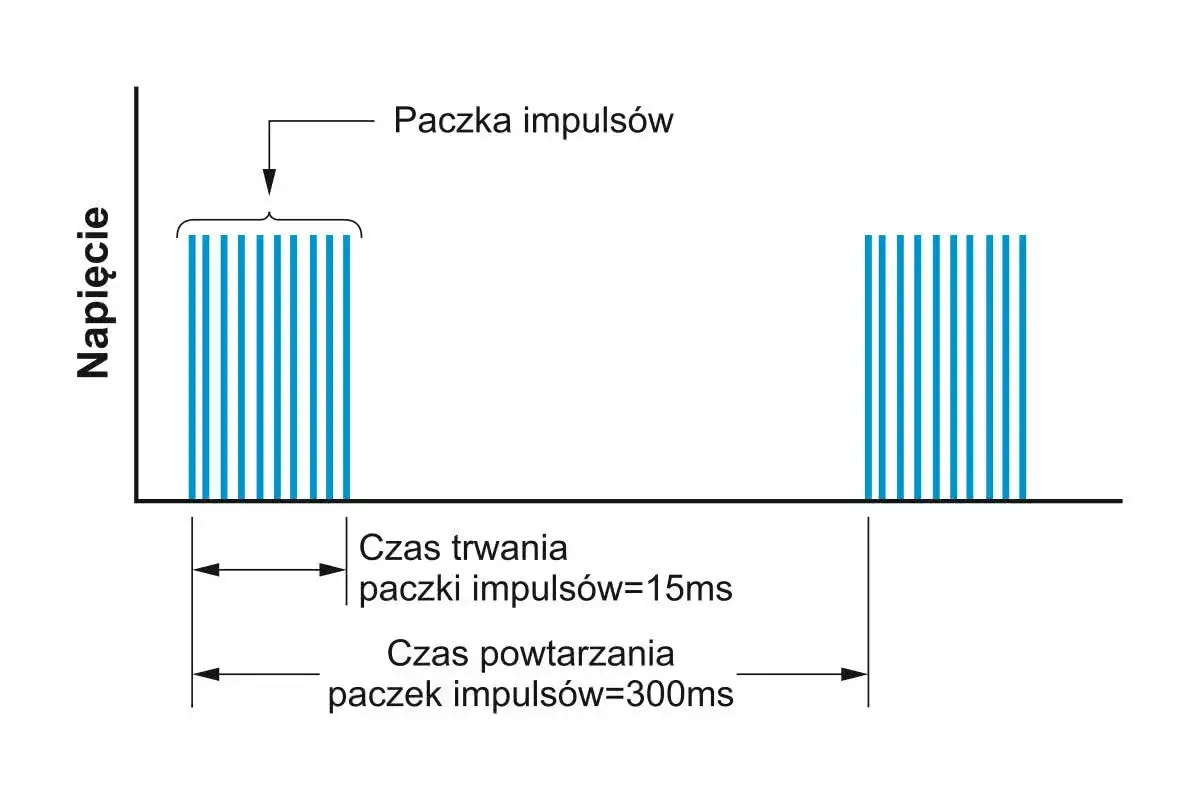 Wykres pokazuje paczkę impulsów napięcia. Choć nie podaje, ile volt ma piorun, ilustruje czas trwania impulsów (15ms) i czas powtarzania (300ms).