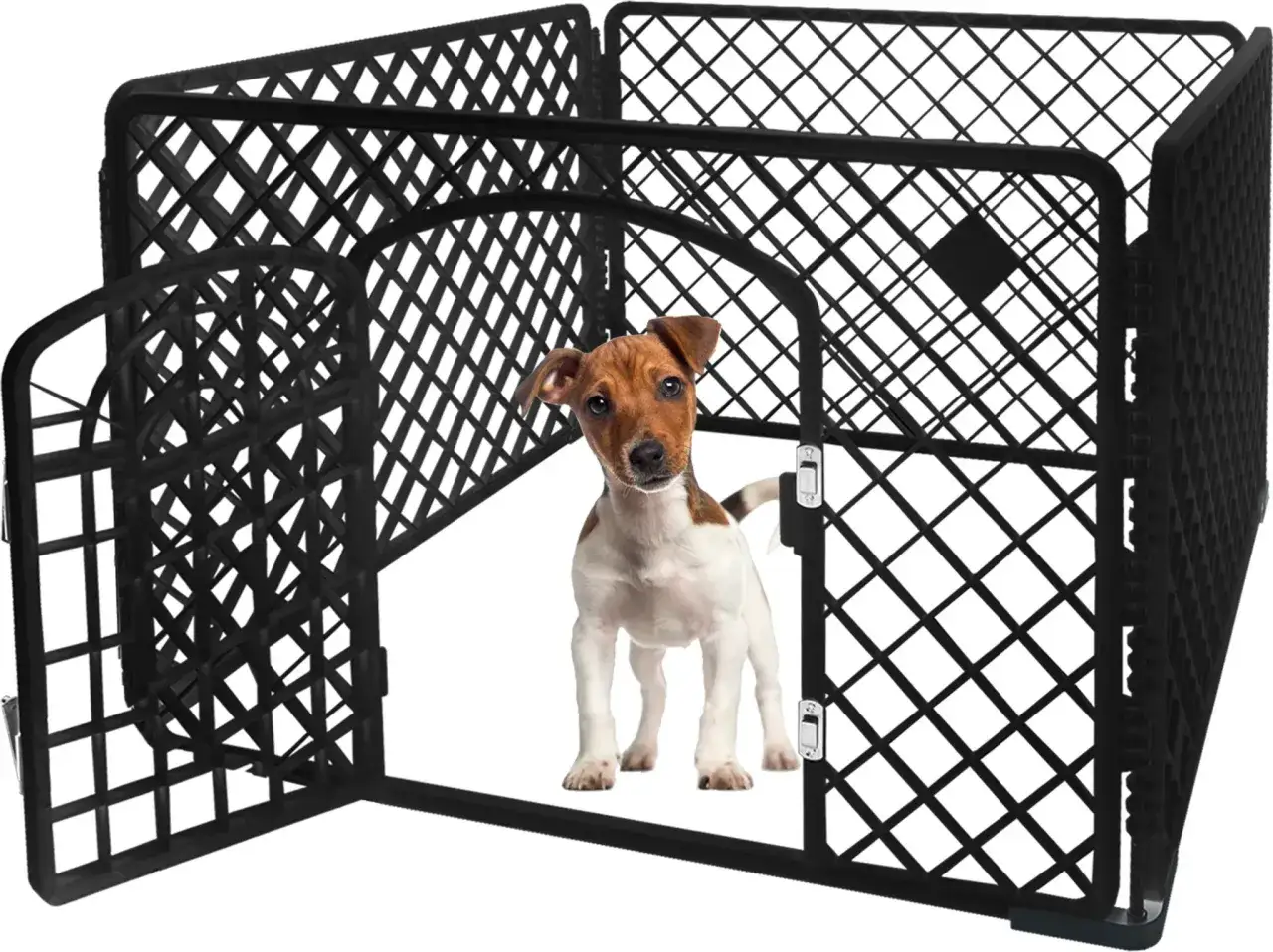 Mały piesek jack russell terrier wita w swoim bezpiecznym, czarnym **parku dla ps&oacute;w**.